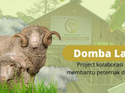 Domba Land